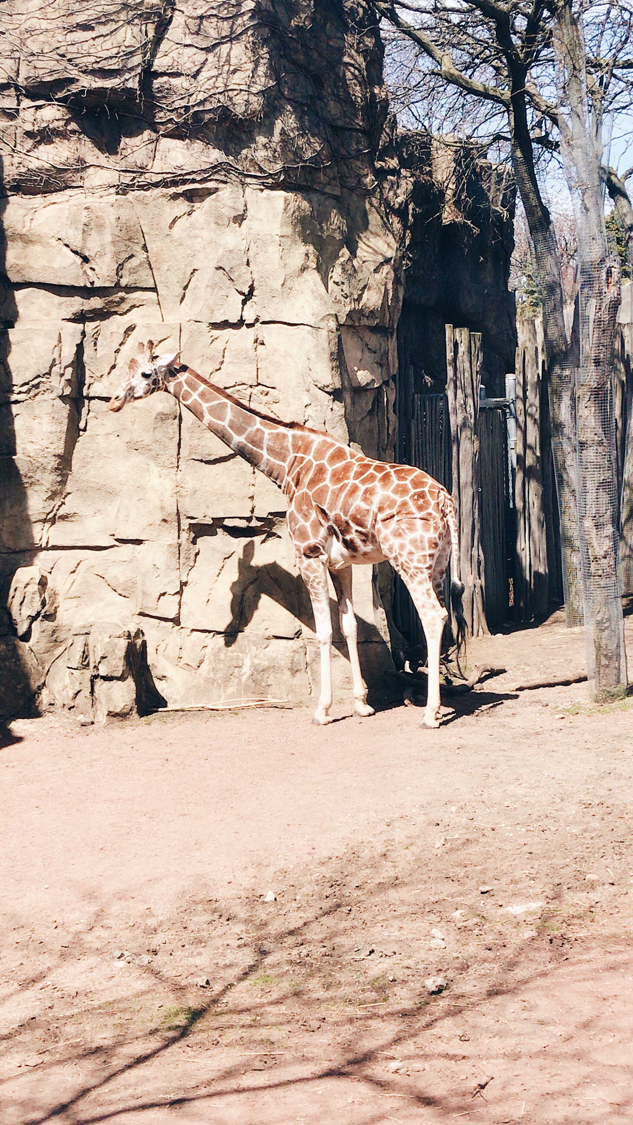 95a0eb76-93a7-48f5-94dc-96df6ae698e6